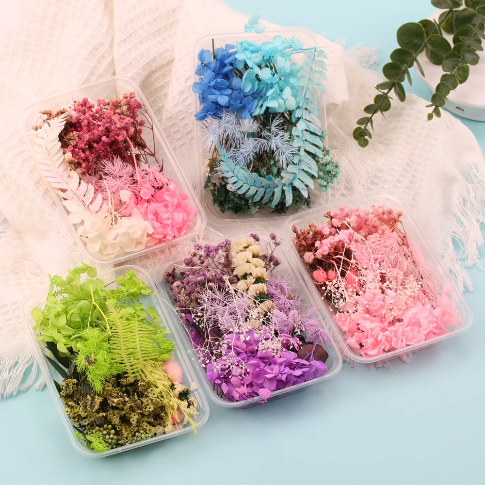 Diy Natural Dried Flowers Plants for Candles Epoxy Resin Handmade Crafts Phone Case Jewelry Making Accessories Home Decoration
Diy Natural Dried Flowers Plants for Candles Epoxy Resin Handmade Crafts Phone Case Jewelry Making Accessories Home Decoration