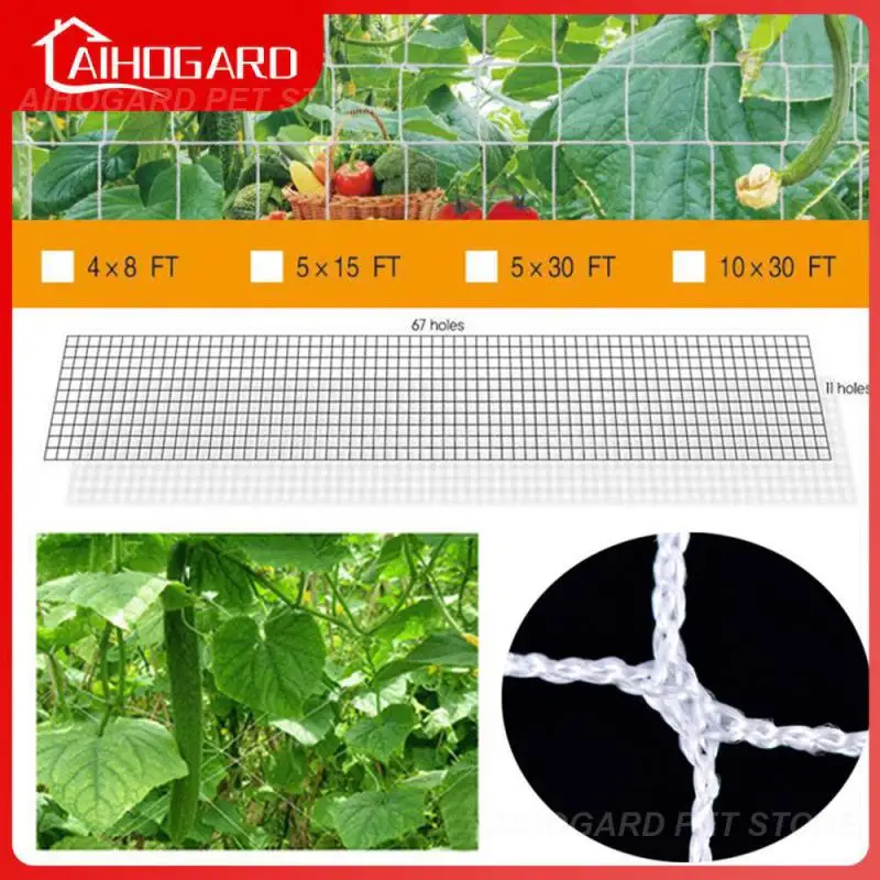Polyester Fibre Polyester Woven Mesh Multipurpose Easy To Install Climbing Rattan Net Good Elasticity Planting Net Garden
Polyester Fibre Polyester Woven Mesh Multipurpose Easy To Install Climbing Rattan Net Good Elasticity Planting Net Garden