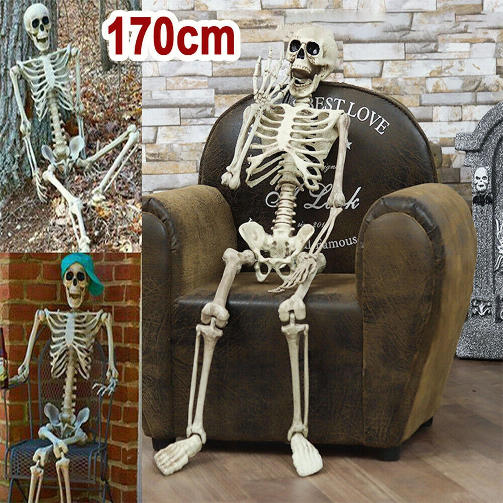

170 см Хэллоуин, ужас, анатомия, подвижный череп, скелет, реквизит для Хэллоуина, полноразмерный скелет, реквизит, украшение на Хэллоуин