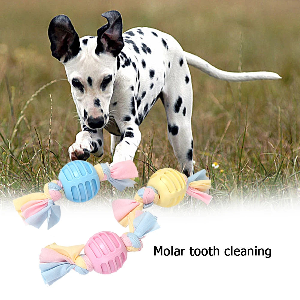 Pet Dog Toy TPR Ball Cloth Strip Dogs Bite Chew Molar Tooth Cleaning Interactive Dental Teething Training Puppy Dog Toy
Pet Dog Toy TPR Ball Cloth Strip Dogs Bite Chew Molar Tooth Cleaning Interactive Dental Teething Training Puppy Dog Toy