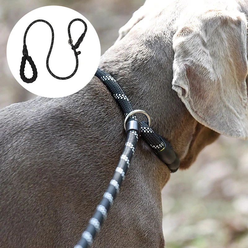 Dog Rope Leash Mountain Climbing Rope Lead Reflective Running Leashes Rope Collar Small Medium Large Dog Pet Harness Leash
Dog Rope Leash Mountain Climbing Rope Lead Reflective Running Leashes Rope Collar Small Medium Large Dog Pet Harness Leash