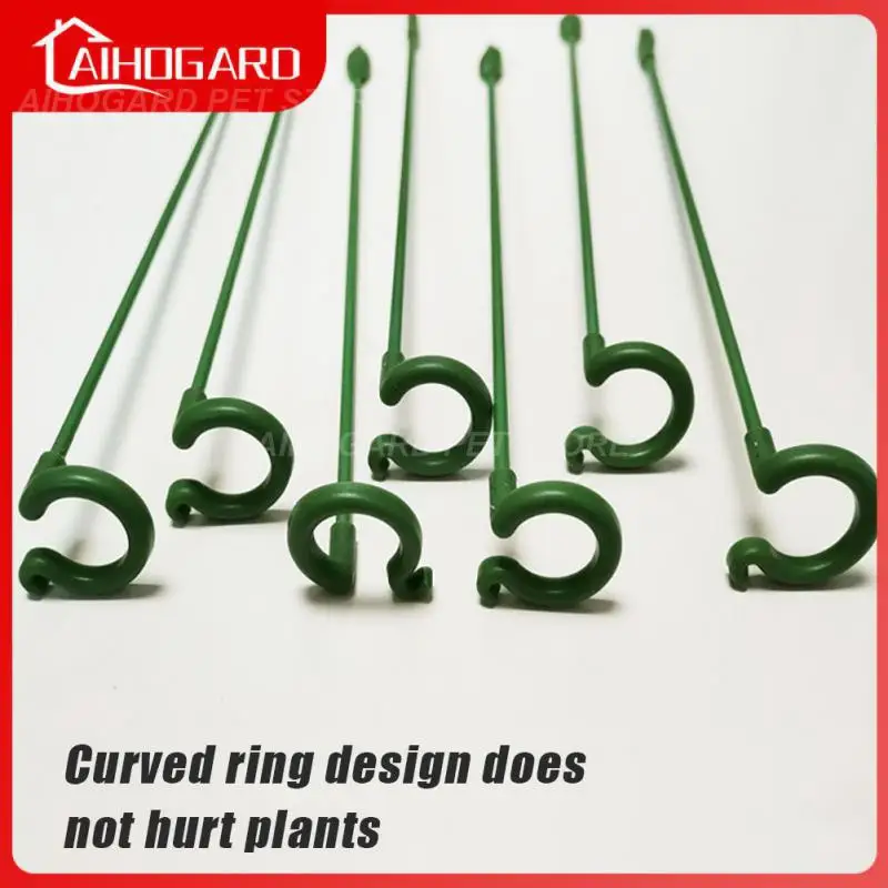 Succulent Phalaenopsis Special Flower Stand Home Potted Plants Shape Support Rod Bracket Fixed Anti-falling Shelf Plant Care
Succulent Phalaenopsis Special Flower Stand Home Potted Plants Shape Support Rod Bracket Fixed Anti-falling Shelf Plant Care