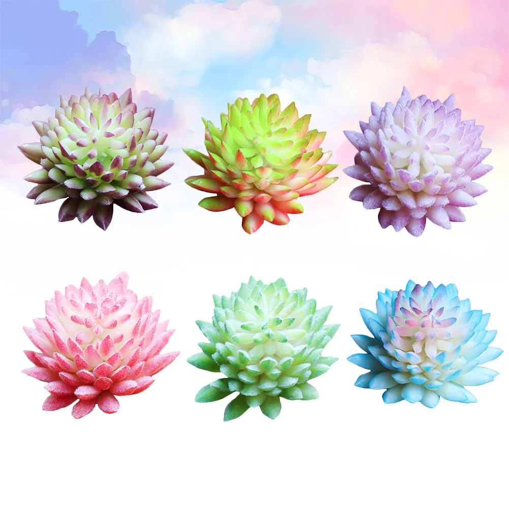 Succulent Artificial Lifelike Faux Adornment Fake Potted Mini Household Succulents Simulated Flocking Unpotted Cacti
Succulent Artificial Lifelike Faux Adornment Fake Potted Mini Household Succulents Simulated Flocking Unpotted Cacti