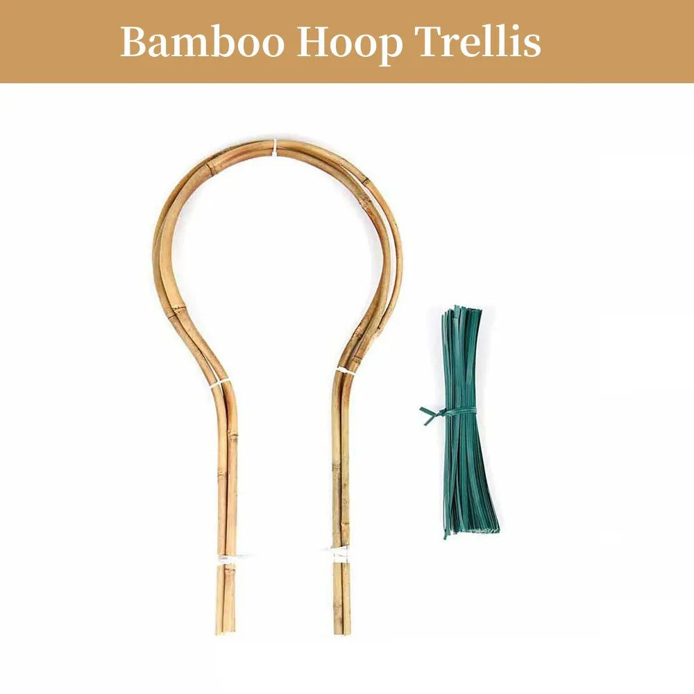 10 Pack Bamboo Hoop Trellis For Potted Plants Climbing Flowers And Vines Garden Rack Tomatoes Natural U-Hoops Bamboo
10 Pack Bamboo Hoop Trellis For Potted Plants Climbing Flowers And Vines Garden Rack Tomatoes Natural U-Hoops Bamboo
