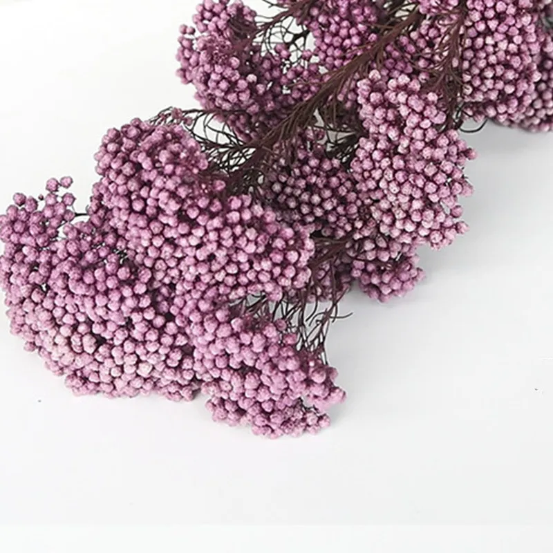 50g Natural Millet Fruit Dried Flower Christmas Decorations For Home 2022 Artificial Flowers For Wedding Decorations Pampas
50g Natural Millet Fruit Dried Flower Christmas Decorations For Home 2022 Artificial Flowers For Wedding Decorations Pampas