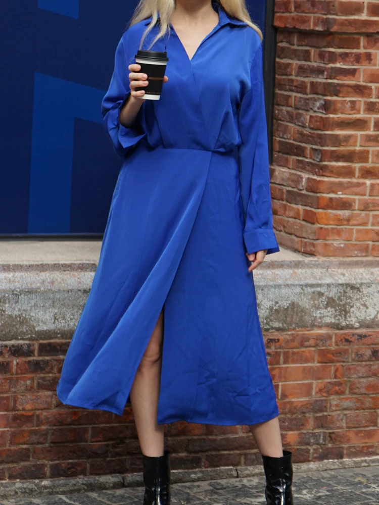 Women Fashion Blue Dress Long Sleeves Fall New Chic Women High Quality Midi Dress 
Women Fashion Blue Dress Long Sleeves Fall New Chic Women High Quality Midi Dress