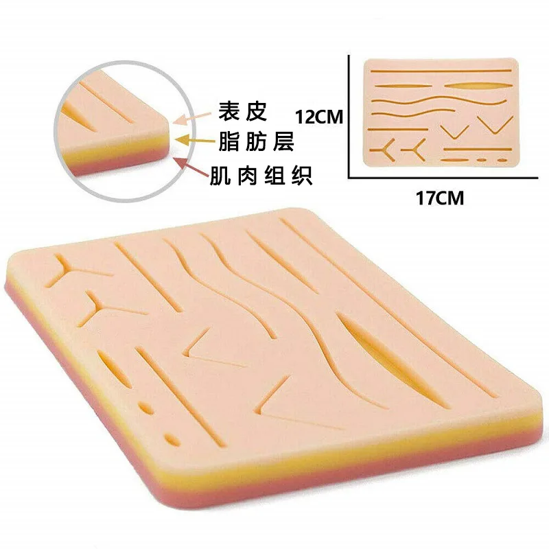 Suture Training Kit Anatomy Practice Suture Pad Model To Be Used By Medical Student MedicalAccessories For Learning Training Kit
Suture Training Kit Anatomy Practice Suture Pad Model To Be Used By Medical Student MedicalAccessories For Learning Training Kit