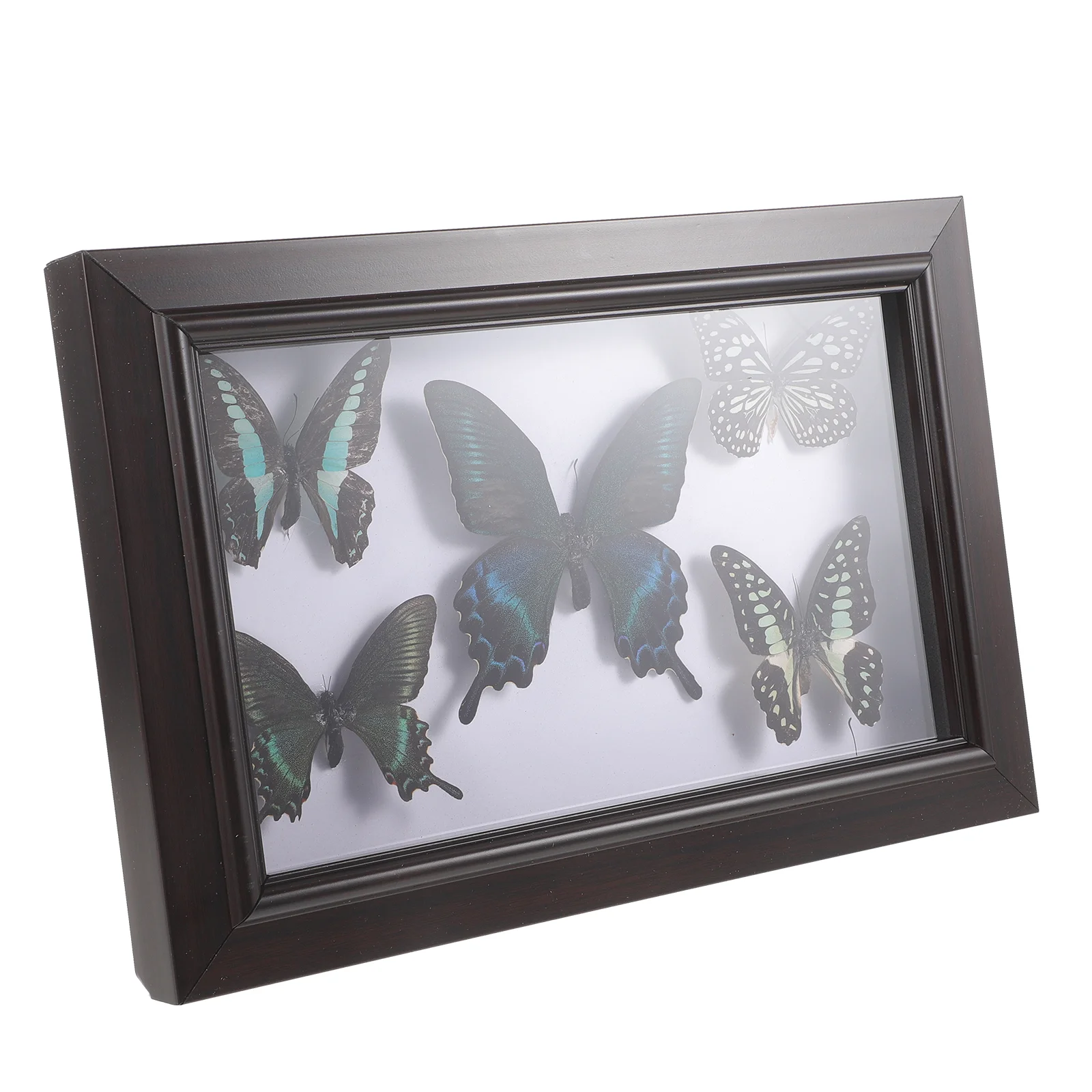 Specimen Craft Wall Decor Ornament Frame Wall Hanging Decor Framed Butterfly Wall Hanging Specimen
Specimen Craft Wall Decor Ornament Frame Wall Hanging Decor Framed Butterfly Wall Hanging Specimen
