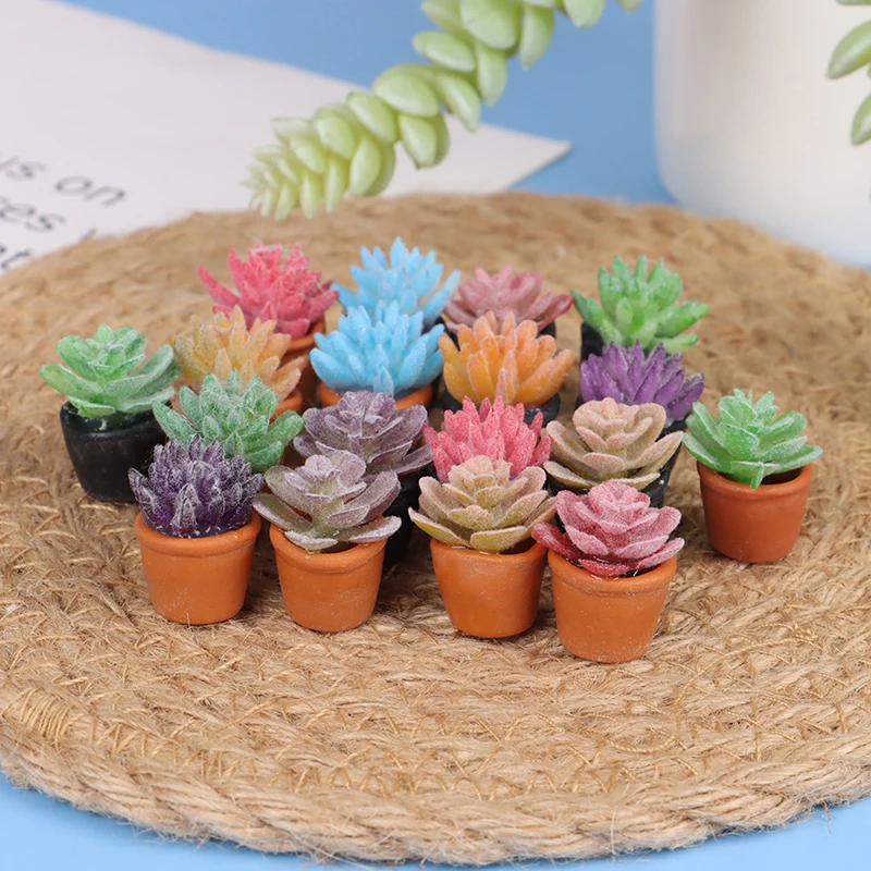 5pcs 1:12 Dollhouse Miniature Mini Potted Succulent Plant Model Accessories
5pcs 1:12 Dollhouse Miniature Mini Potted Succulent Plant Model Accessories