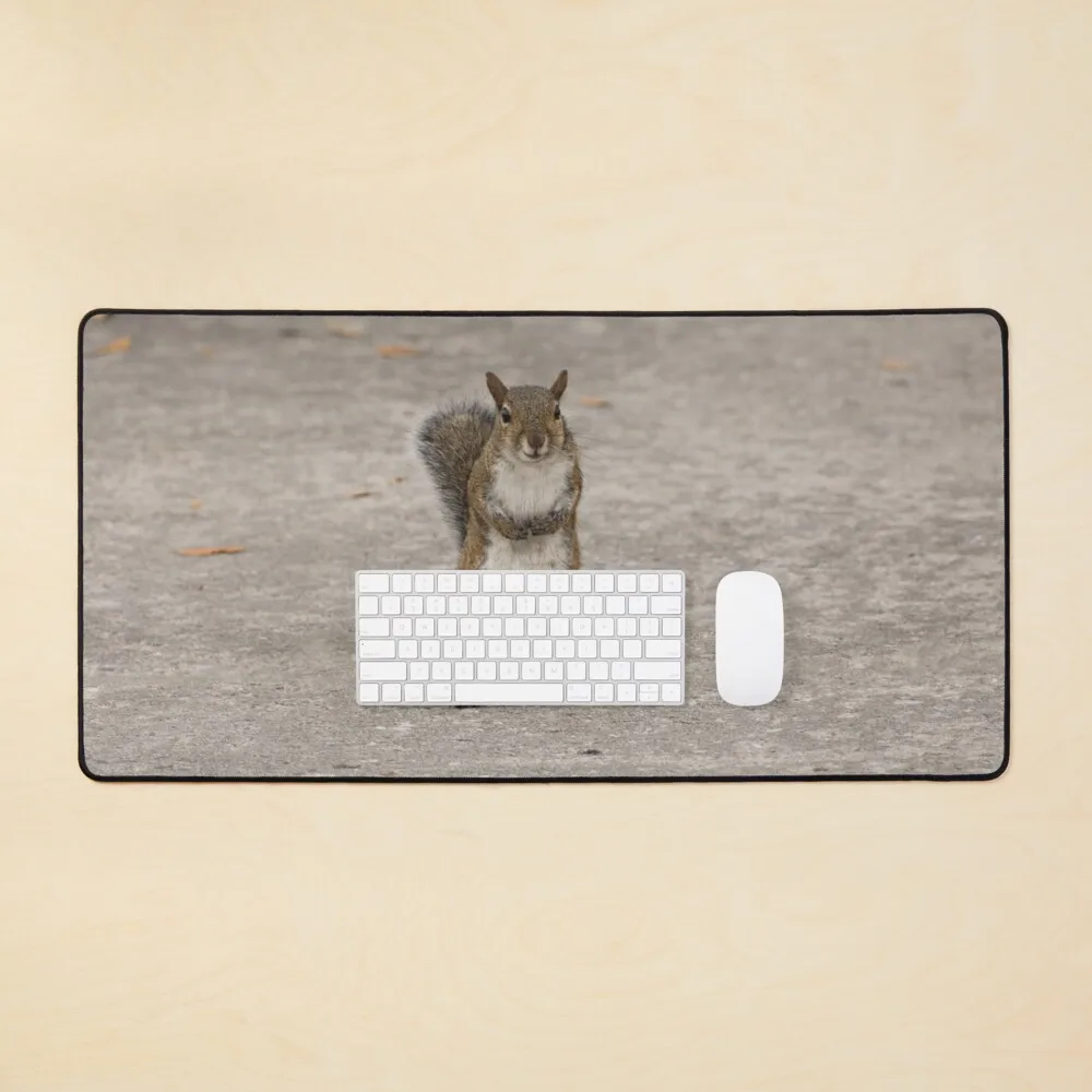Do You Have Some Nuts Mouse Pad Extra Large Desk Pad Keyboard Pad For Office Business Desk Pads PC Gaming
Do You Have Some Nuts Mouse Pad Extra Large Desk Pad Keyboard Pad For Office Business Desk Pads PC Gaming