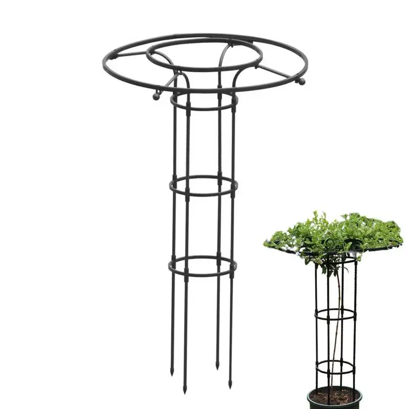 Vertical Metal Garden Trellis Climbing Plants Support For Vines Tomatoes Peas Plant Support Pile Stand Climb Greenhouses Fixing
Vertical Metal Garden Trellis Climbing Plants Support For Vines Tomatoes Peas Plant Support Pile Stand Climb Greenhouses Fixing