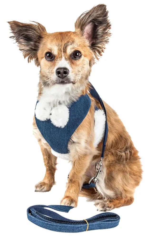 Сетчатая Регулируемая шлейка для собак Pet Life Luxe 'Pom Draper' 2-в-1 с поводком W/ Pom-Pom Bowtie
Сетчатая Регулируемая шлейка для собак Pet Life Luxe 'Pom Draper' 2-в-1 с поводком W/ Pom-Pom Bowtie