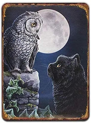 Tin Metal Signs Iron Painting Plaque Plate Owl Metal Sign Shabby Cat Animal Poster Art Beach Garden Farm Wall Home Decor
Tin Metal Signs Iron Painting Plaque Plate Owl Metal Sign Shabby Cat Animal Poster Art Beach Garden Farm Wall Home Decor