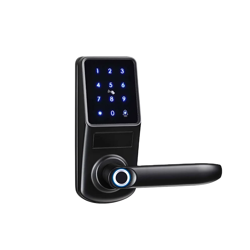 

Wifi Fingerprint Electronic lock With camera outdoor Hotel Bodies Digital Dead bolt 2021 Swiping smart lock