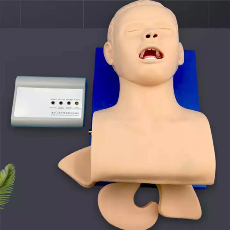 Electronic Endotracheal Intubation Training InIntubation Manikin Study Teaching Model Airway Management Trainer PVC with Teeth
Electronic Endotracheal Intubation Training InIntubation Manikin Study Teaching Model Airway Management Trainer PVC with Teeth