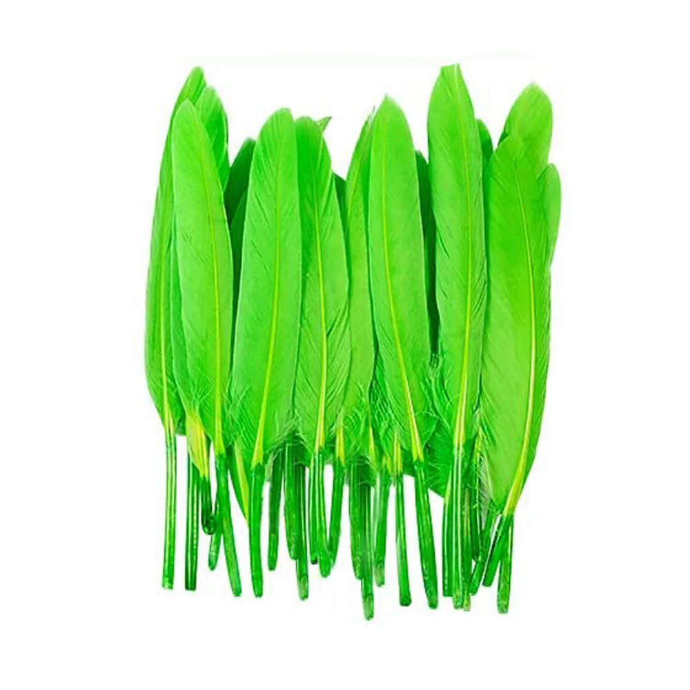 Natural Goose Feathers Dyed Black DIY Craft Jewelry Clothing Feathers
Natural Goose Feathers Dyed Black DIY Craft Jewelry Clothing Feathers