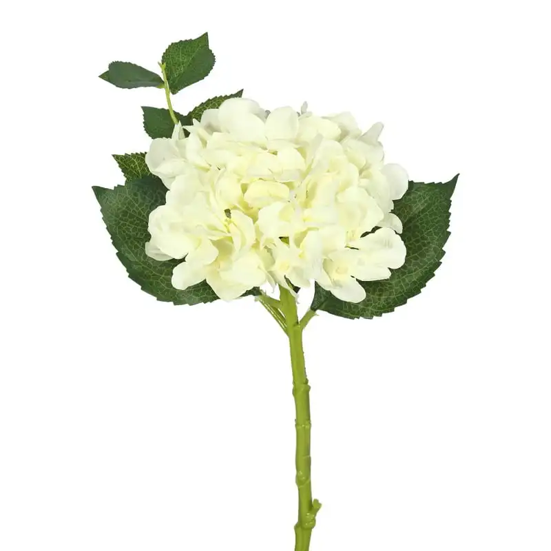 Short Stem Artificial Cream Hydrangea, Set of 3 Artificial flowers Wedding bouquet for bridesmaids Ramos de quinceañera Vines r
Short Stem Artificial Cream Hydrangea, Set of 3 Artificial flowers Wedding bouquet for bridesmaids Ramos de quinceañera Vines r