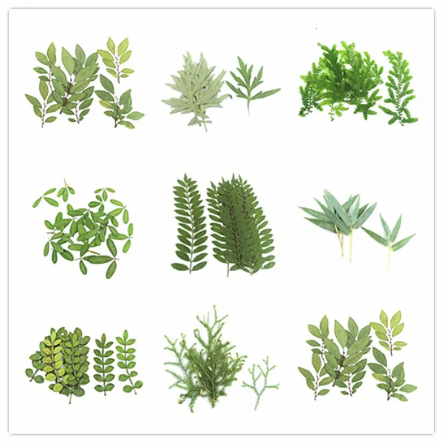 Small Quantity Dried Pressed Leaves For Jewelry Postcard Phone Case Invitation Card Bookmark DIY Lots of Style For Pick
Small Quantity Dried Pressed Leaves For Jewelry Postcard Phone Case Invitation Card Bookmark DIY Lots of Style For Pick