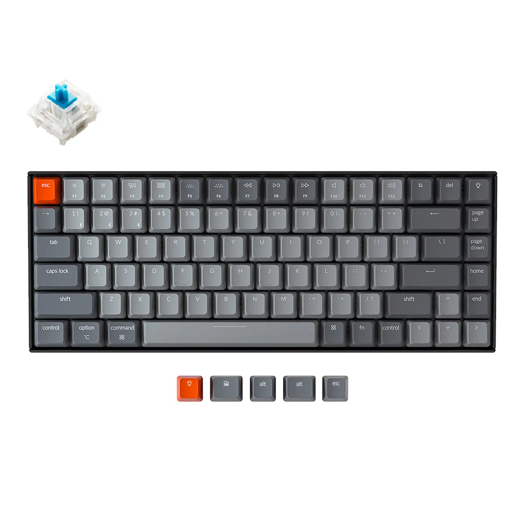 2022 New 84 Keys Hot Selling RGB Backlit Gaming Keyboard KeyChron Mechanical Keyboard
2022 New 84 Keys Hot Selling RGB Backlit Gaming Keyboard KeyChron Mechanical Keyboard