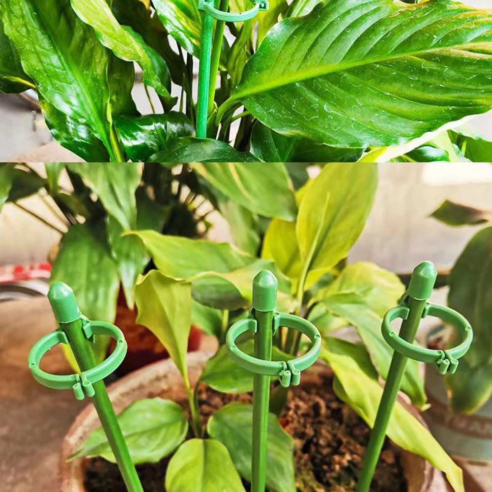 Rod Support Pile 10PCS Brand-new Climbing Vine Plant Durable Fiberglass Gardening High Quality Plant Fixing Rod
Rod Support Pile 10PCS Brand-new Climbing Vine Plant Durable Fiberglass Gardening High Quality Plant Fixing Rod