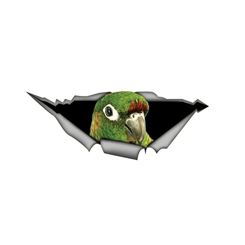 V51# Car Sticker Green Cheek Conure Parrot Waterproof Vinyl Decal Car Accessories Pegatinas Para Coche DIY Car Styling
V51# Car Sticker Green Cheek Conure Parrot Waterproof Vinyl Decal Car Accessories Pegatinas Para Coche DIY Car Styling