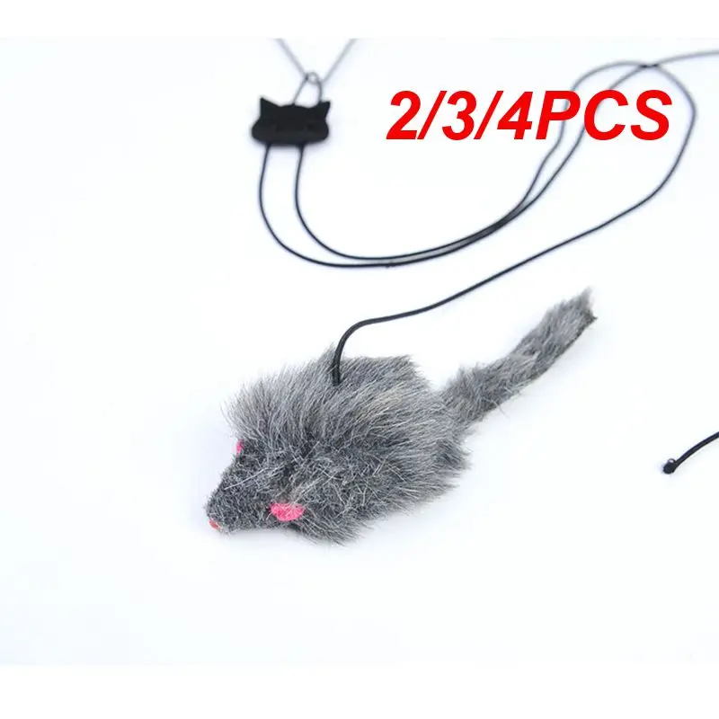 4PCS Cat Toys Simulation Mouse Interactive Funny Hanging Door Cat Stick Toy Furry Feather Cat Stick Toy Playing Pet Cat Supplies
4PCS Cat Toys Simulation Mouse Interactive Funny Hanging Door Cat Stick Toy Furry Feather Cat Stick Toy Playing Pet Cat Supplies