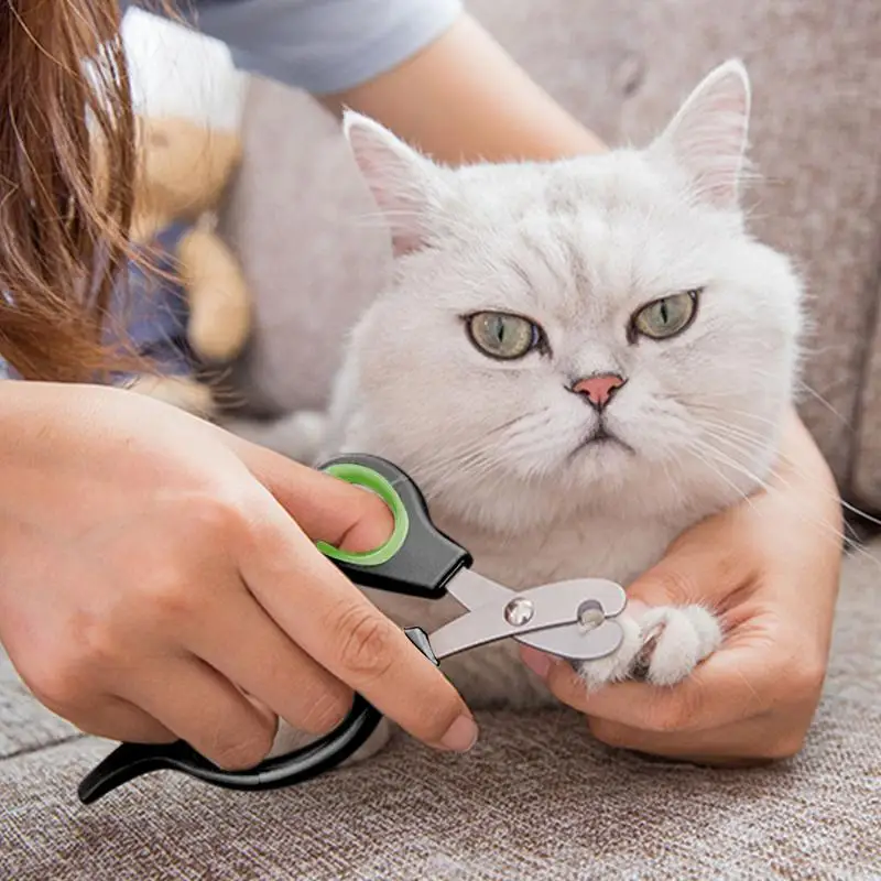 Pet Nail Clippers Cat Nail Clippers Claw Trimmer Small Animals Nail Grooming Clipper For Dog Cat Bunny Rabbit Bird Puppy Kitten
Pet Nail Clippers Cat Nail Clippers Claw Trimmer Small Animals Nail Grooming Clipper For Dog Cat Bunny Rabbit Bird Puppy Kitten
