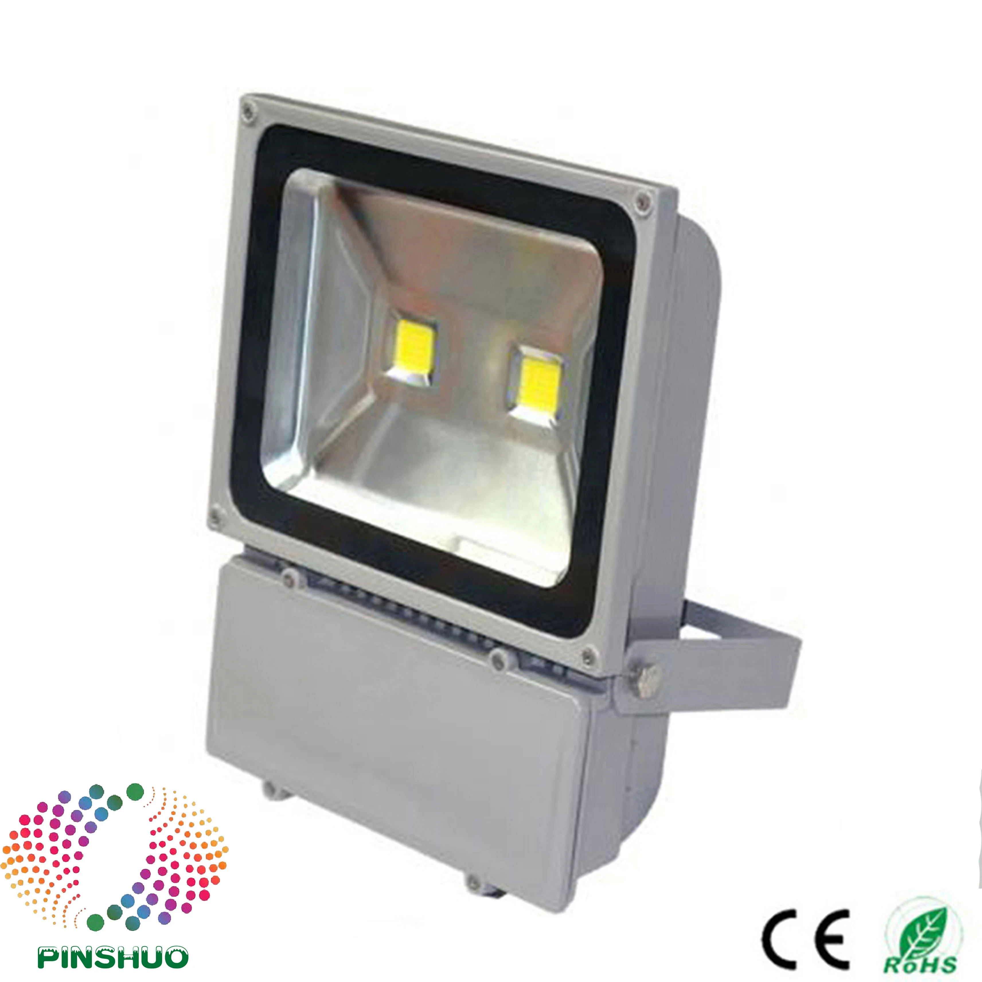 

100W LED Floodlight Flood Light 12V 85-265V Spotlight Bulb DC12V 24V Bridgelux Chip 3 Years Warranty IP65 Waterproof