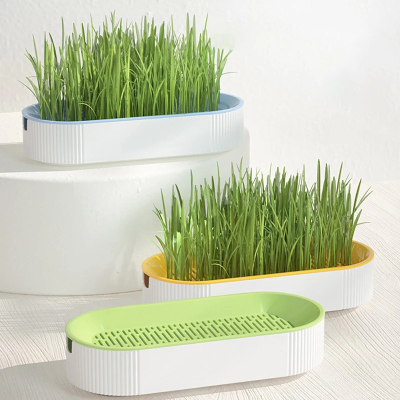 

1Set Pet Cat Sprout Dish Growing Pot Hydroponic Plant Cat Grass Germination Digestion Starter Dish Grow Box Soilless Planting Po