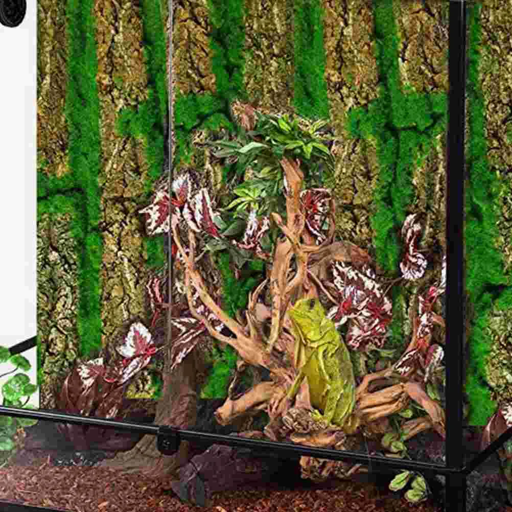 Terrarium Tree Bark Decor Lizard Climbing Tree Bark Reptile Basking Platform Reptile Bark Decor
Terrarium Tree Bark Decor Lizard Climbing Tree Bark Reptile Basking Platform Reptile Bark Decor