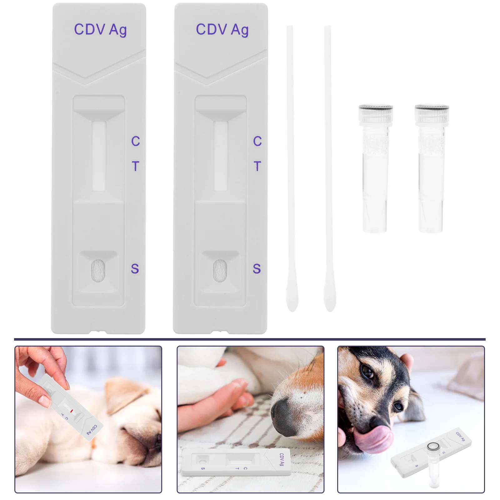 Puppy Illtesting Strip Dog Supplies Canine Parvo Antigen Cards Strips Paperboard
Puppy Illtesting Strip Dog Supplies Canine Parvo Antigen Cards Strips Paperboard