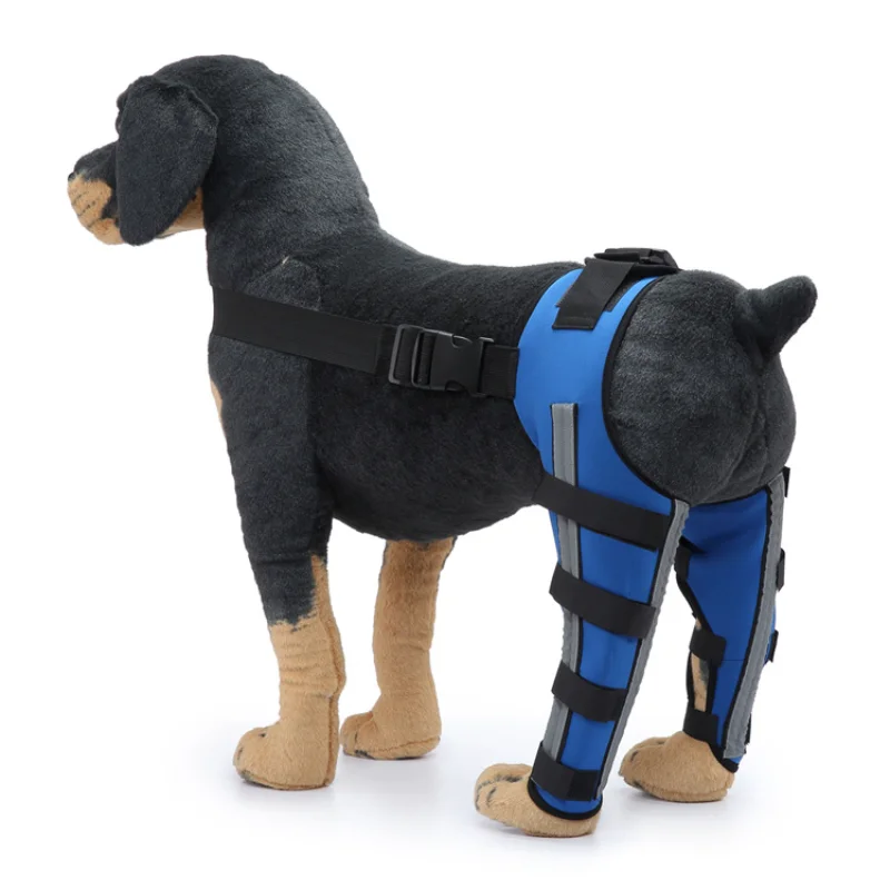 XS-L Pet Dog Support Protector Sleeve Bandage Dog Breathable Elbow Pad Support Brace for Hind Leg Joint Wrap Injury Recover Legs
XS-L Pet Dog Support Protector Sleeve Bandage Dog Breathable Elbow Pad Support Brace for Hind Leg Joint Wrap Injury Recover Legs