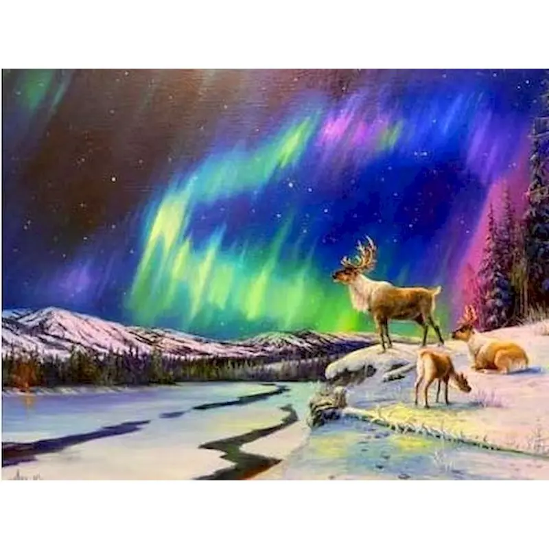 

GATYZTORY Aurora DIY Painting By Numbers Drawing On Canvas Hand Painted Acrylic Frame Oil Paint By Numbers For Home Decor Art