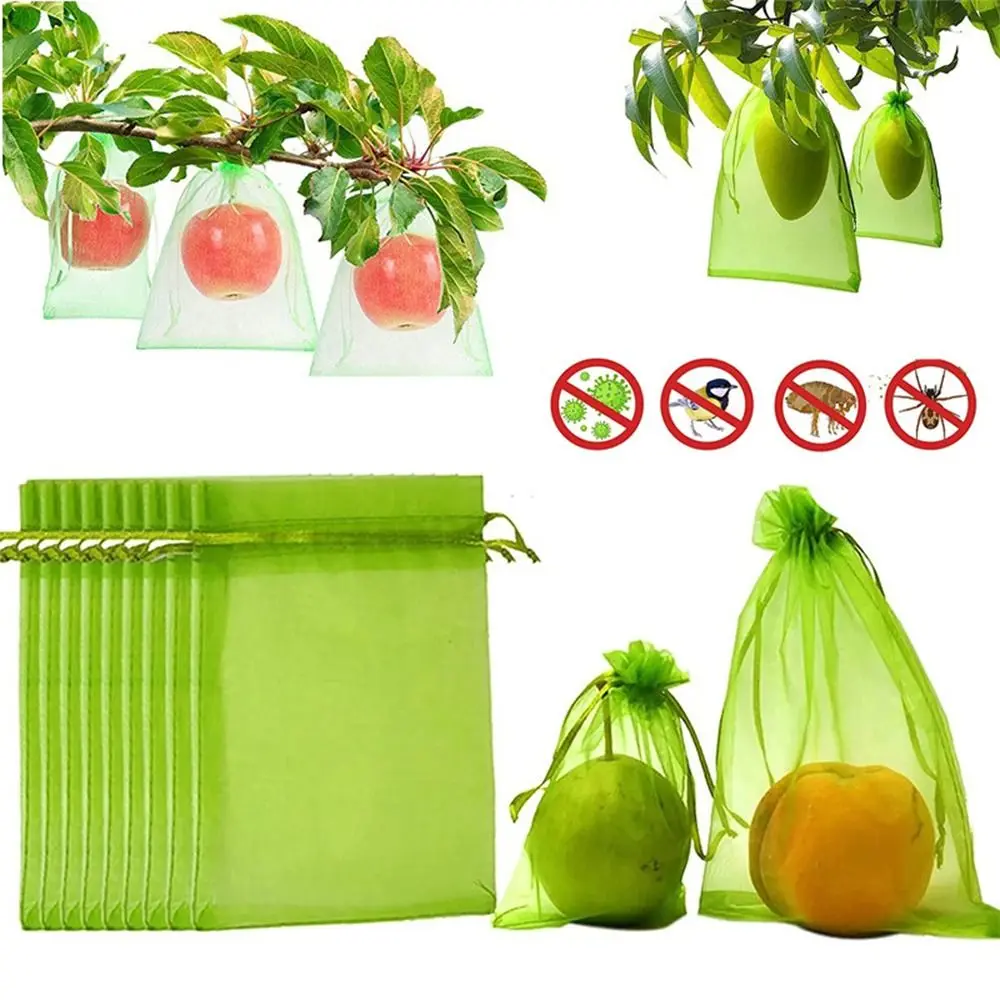 30Pcs Fruit Net Bags Protection Bags Agriculture Garden Vegetable Protection Mesh Insect Proof Anti-Bird Netting Plant Grow Bags
30Pcs Fruit Net Bags Protection Bags Agriculture Garden Vegetable Protection Mesh Insect Proof Anti-Bird Netting Plant Grow Bags