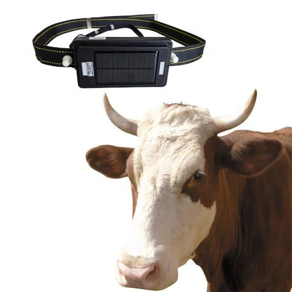 Waterproof Tracker 2g 4g Charged Gps Tracker Wild Animal Tracking Solar Power Gps Animal Cattle Eartag Tracker
Waterproof Tracker 2g 4g Charged Gps Tracker Wild Animal Tracking Solar Power Gps Animal Cattle Eartag Tracker