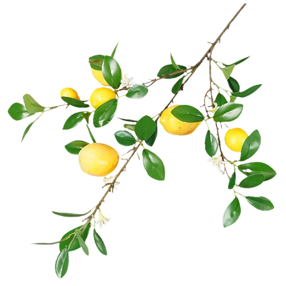 Lemon Artificial Stem Garland Branch Flower Fake Arrangement Pip Berry Fruit Branches Bouquet Centerpiecevase Leaf Filler
Lemon Artificial Stem Garland Branch Flower Fake Arrangement Pip Berry Fruit Branches Bouquet Centerpiecevase Leaf Filler
