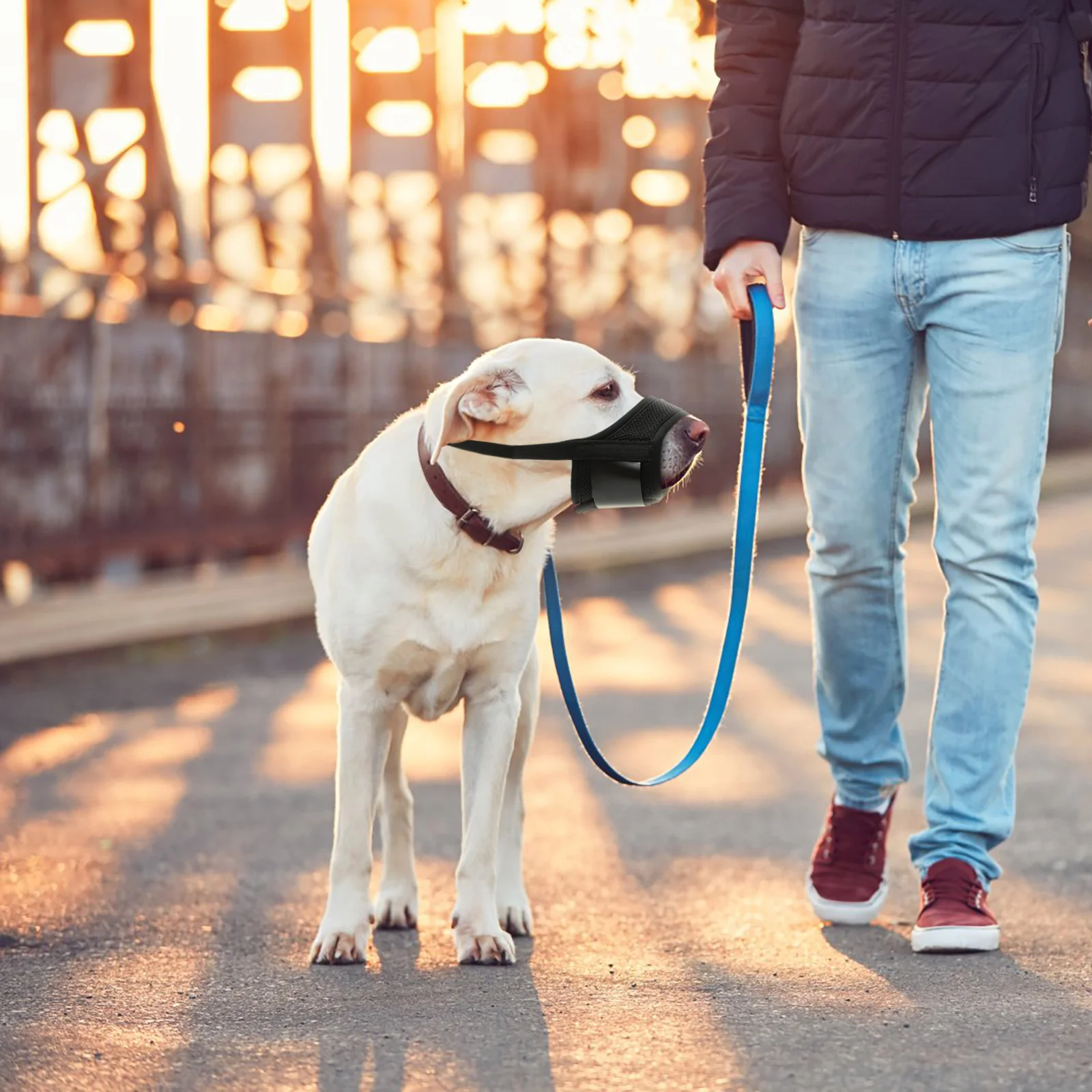 Dog Muzzlemuzzles Large Anti Mouth Cover Puppy Cat Biting Dogs Chewing Pet Barking Comfortable Bag Small Guard Grooming Helper
Dog Muzzlemuzzles Large Anti Mouth Cover Puppy Cat Biting Dogs Chewing Pet Barking Comfortable Bag Small Guard Grooming Helper