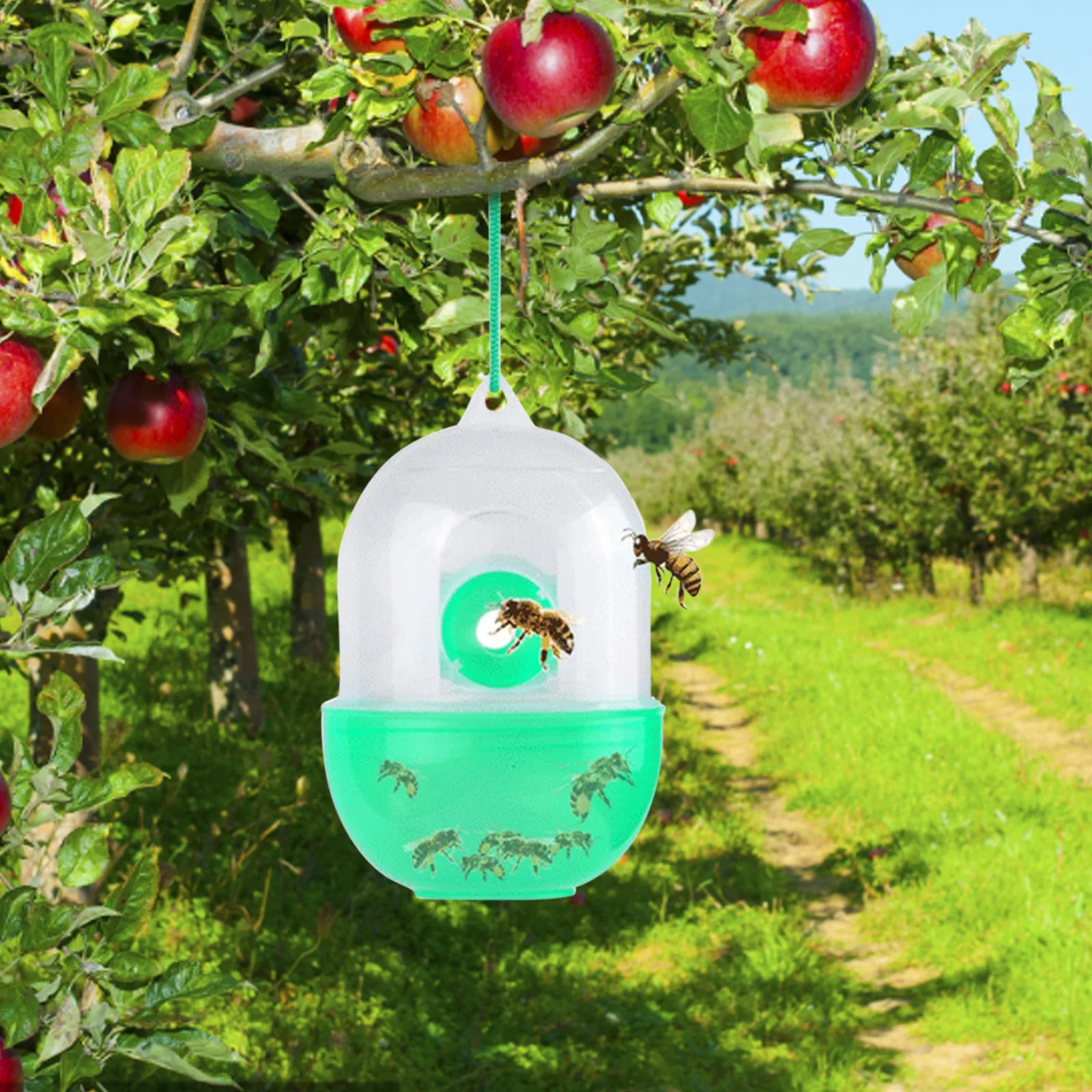 2Pcs Reusable Outdoor Wasp Hanging Fly Trap Catcher Beekeeping Catcher Cage Equipment Tools for Wasps Bees Hornet Pest Control
2Pcs Reusable Outdoor Wasp Hanging Fly Trap Catcher Beekeeping Catcher Cage Equipment Tools for Wasps Bees Hornet Pest Control