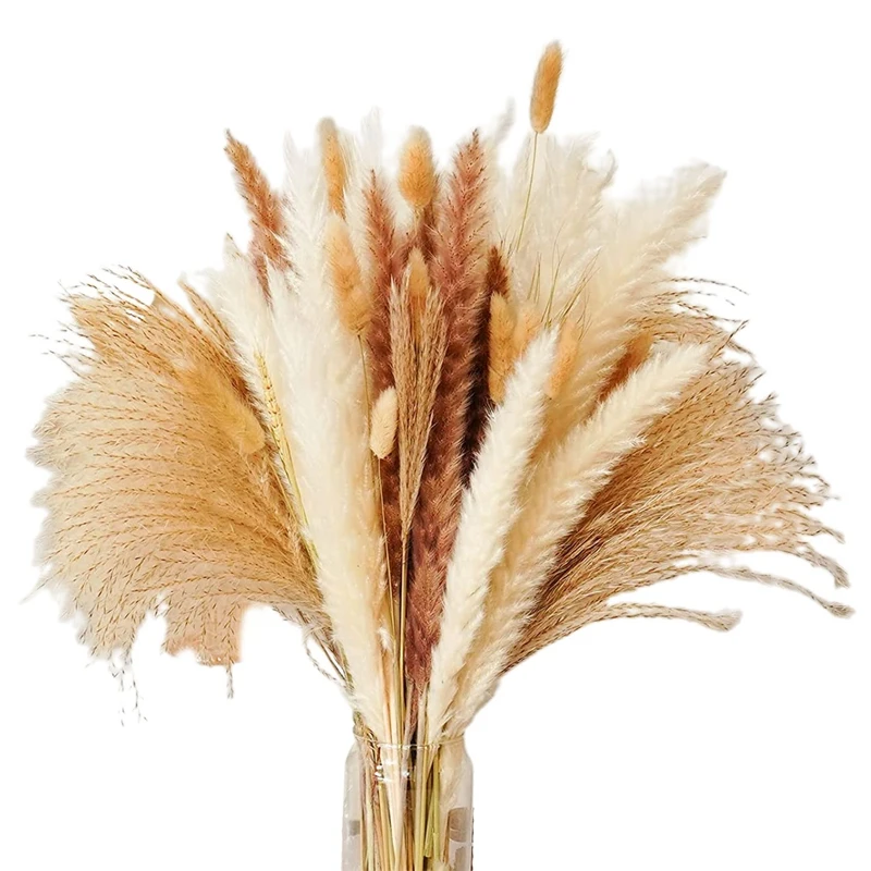 Pampas Grass Dried Pampas Reeds Natural Brown And White Rabbit Reeds For Bohemian Home Decor
Pampas Grass Dried Pampas Reeds Natural Brown And White Rabbit Reeds For Bohemian Home Decor
