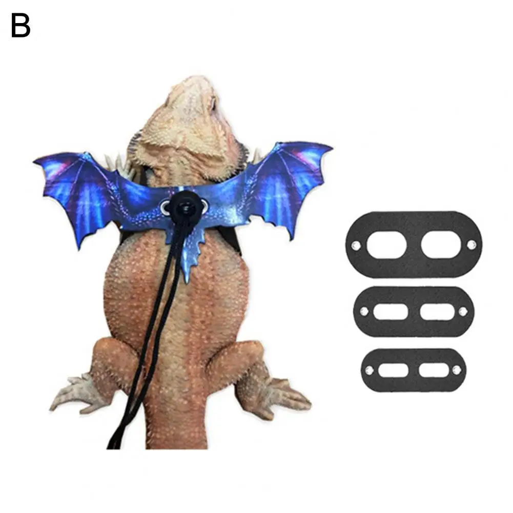 Dress Up Lightweight All-matched Bearded Dragon Harness for Walking
Dress Up Lightweight All-matched Bearded Dragon Harness for Walking