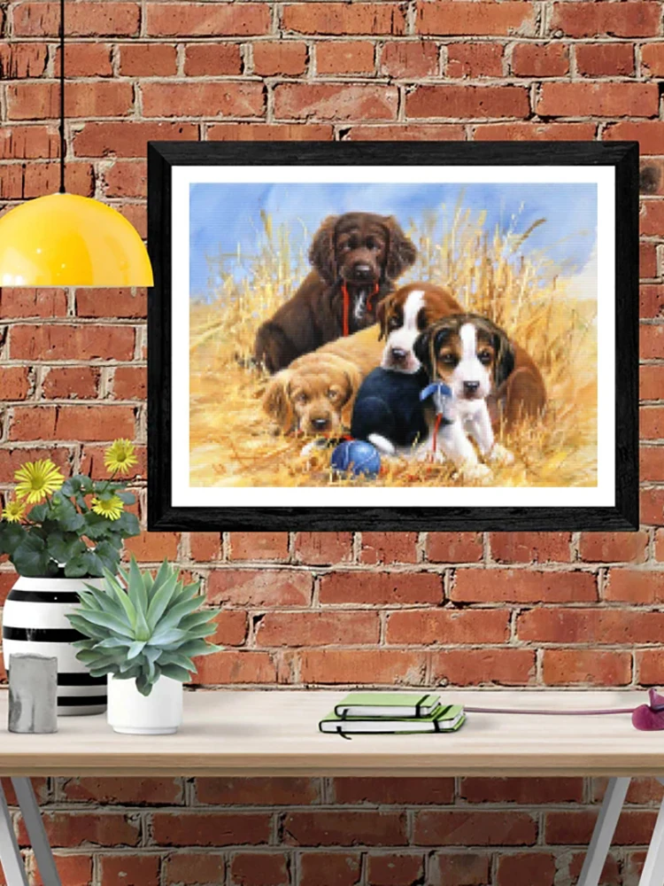 DIY-5D Diamond Dog Splice Set for Playing Ball in the Field Full Diamond Embroidery Mosaic Picture Closed
DIY-5D Diamond Dog Splice Set for Playing Ball in the Field Full Diamond Embroidery Mosaic Picture Closed