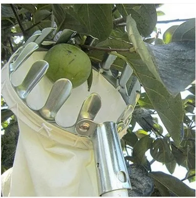 Portable Metal Fruit Picker High Altitude Durable Fruit Picker Agricultural Garden Hardware Tools Supplies 14/16cm Diameter
Portable Metal Fruit Picker High Altitude Durable Fruit Picker Agricultural Garden Hardware Tools Supplies 14/16cm Diameter
