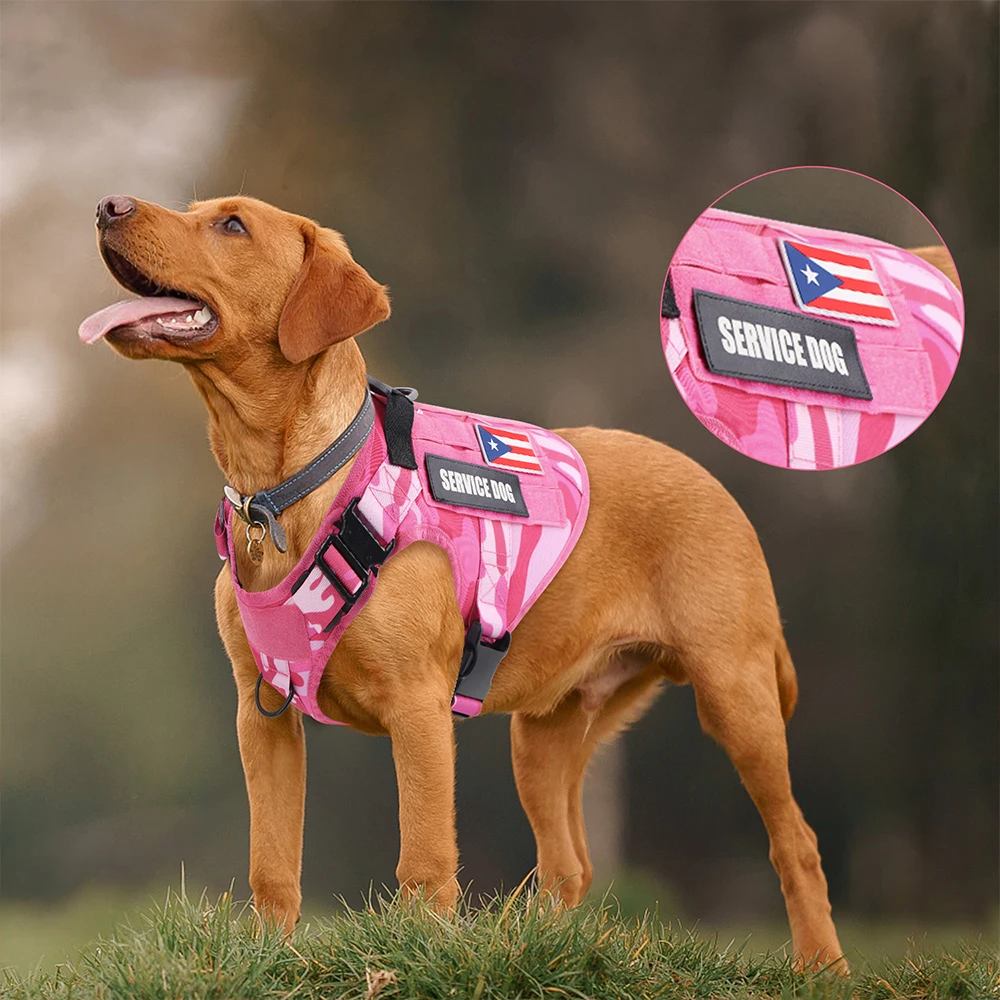 Pink Tactical Dog Harness with Handle Adjustable Military Service Pet Training Vest German Shepherd K9 Malinois For Large Dogs
Pink Tactical Dog Harness with Handle Adjustable Military Service Pet Training Vest German Shepherd K9 Malinois For Large Dogs