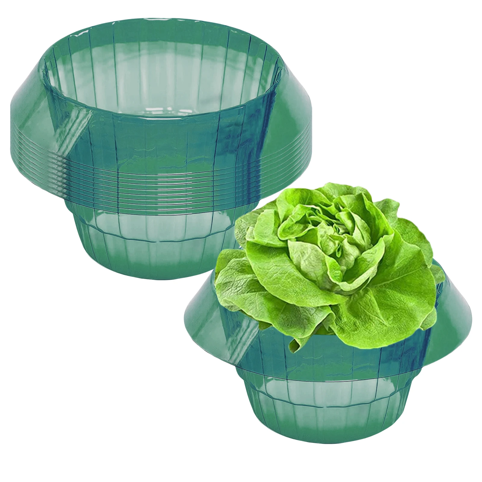 Plant Salad Rings Slug Protection For Your Lettuce Plants Simple & Efficient Plant Protection For Lettuce Cabbage Tomatoes
Plant Salad Rings Slug Protection For Your Lettuce Plants Simple & Efficient Plant Protection For Lettuce Cabbage Tomatoes