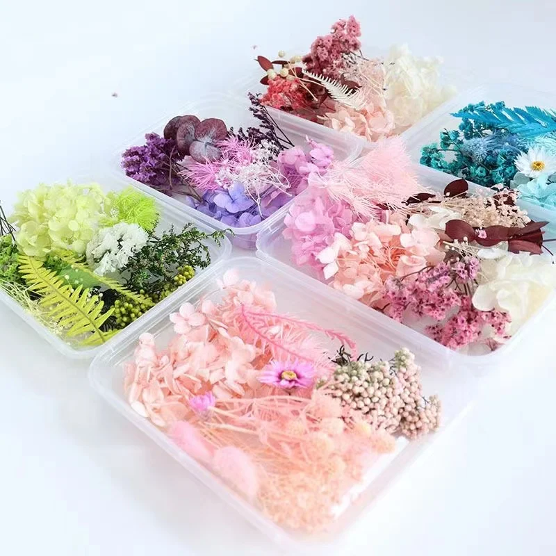 6 Box Dried Flowers for Resin Jewelry Molds,Real Pressed Dry Leaves Multiple Colorful,DIY Crafts Nail,Candle Making,Phone Case
6 Box Dried Flowers for Resin Jewelry Molds,Real Pressed Dry Leaves Multiple Colorful,DIY Crafts Nail,Candle Making,Phone Case