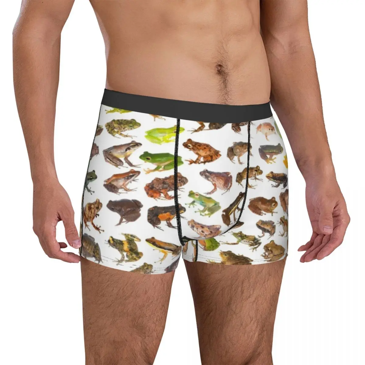 101 Frogs Of Madagascar Underwear Animals Funny Forg Pouch Trenky Boxer Shorts Printing Shorts Briefs Comfortable Male Panties
101 Frogs Of Madagascar Underwear Animals Funny Forg Pouch Trenky Boxer Shorts Printing Shorts Briefs Comfortable Male Panties