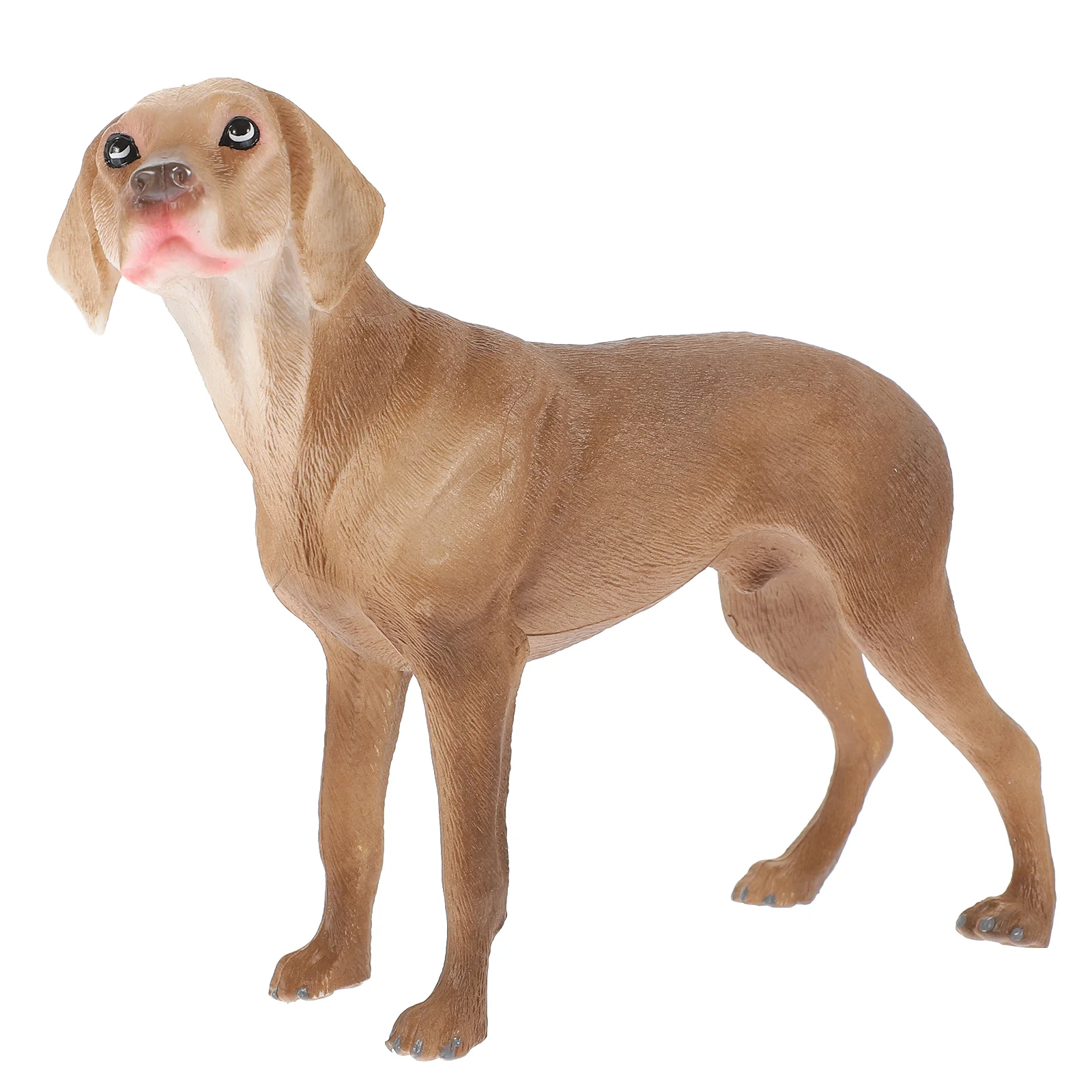 

Simulation Pet Dog Realistic Model Statues Figurines Toy Figure Models For Playing Simulated Craft Ornament Decor