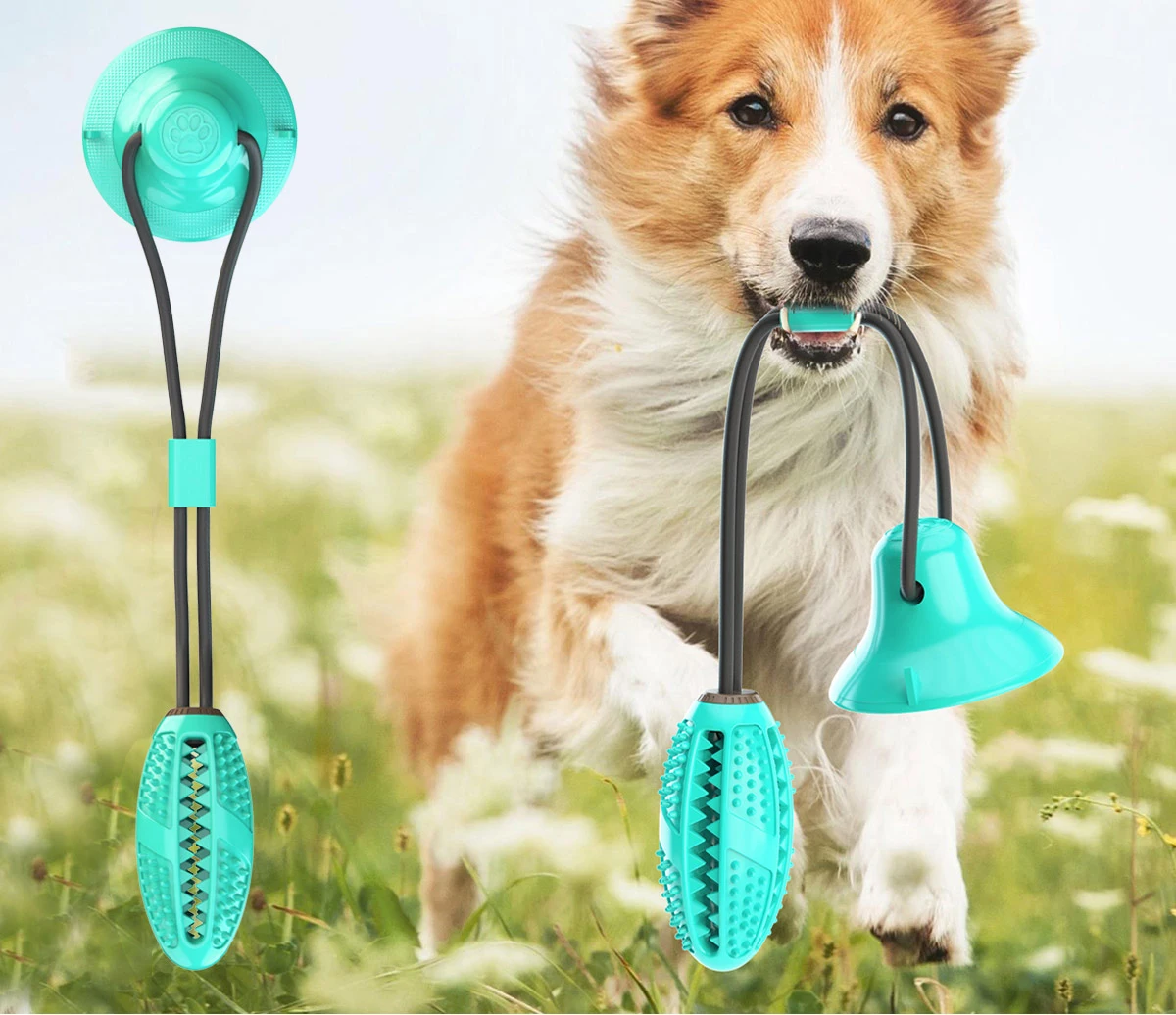Pet Multifunctional Toys, Suction Cup Tension Ball, Natural Rubber , Educational Supplies, Clean Tteeth, Exercise Bite Force.F
Pet Multifunctional Toys, Suction Cup Tension Ball, Natural Rubber , Educational Supplies, Clean Tteeth, Exercise Bite Force.F