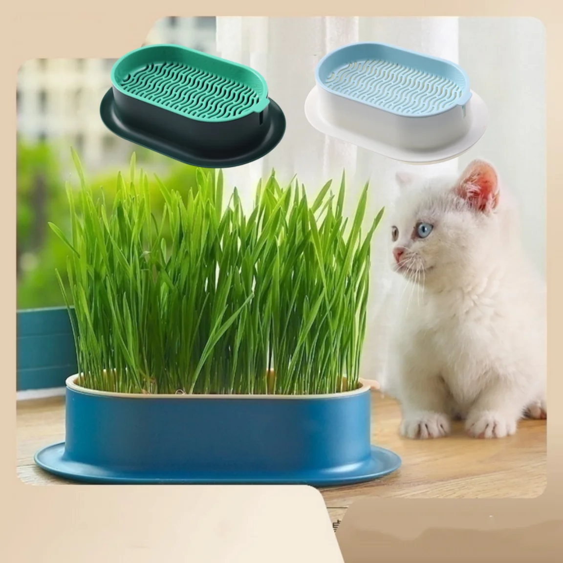 New Pet Cat Sprout Dish Growing Pot Hydroponic Plant Cat Grass Germination Digestion Starter Dish Greenhouse Grow Box
New Pet Cat Sprout Dish Growing Pot Hydroponic Plant Cat Grass Germination Digestion Starter Dish Greenhouse Grow Box