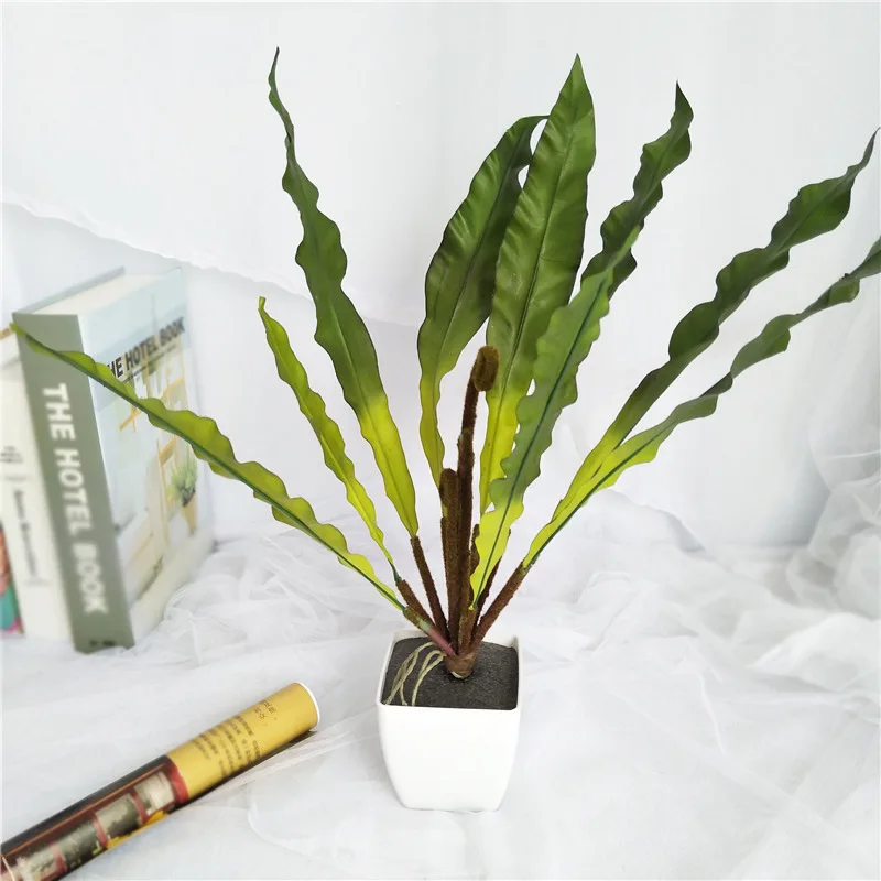 Artificial Plants Tropical Rainforest Plants Room Living Room Desktop Decoration Simulation Leaves Fake Plants Home Decoration
Artificial Plants Tropical Rainforest Plants Room Living Room Desktop Decoration Simulation Leaves Fake Plants Home Decoration